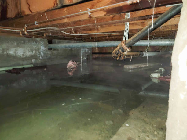  Maxton, NC Water damage restoration Pros