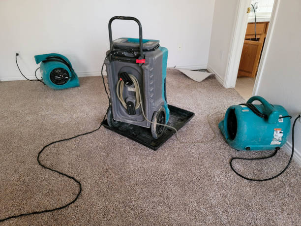 Best Carpet water damage restoration  in Maxton, NC