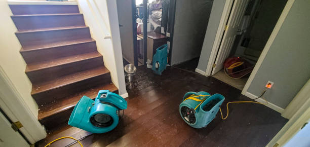 Best Flood damage cleanup  in Maxton, NC